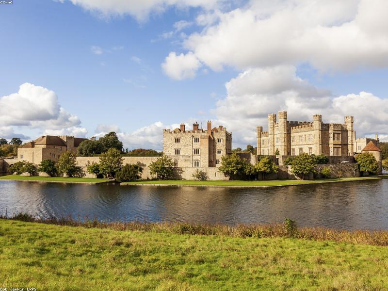 Modern green building interior with plants